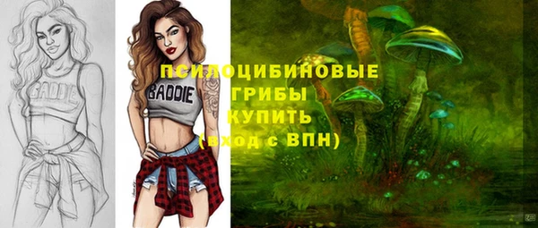 метадон Алексеевка