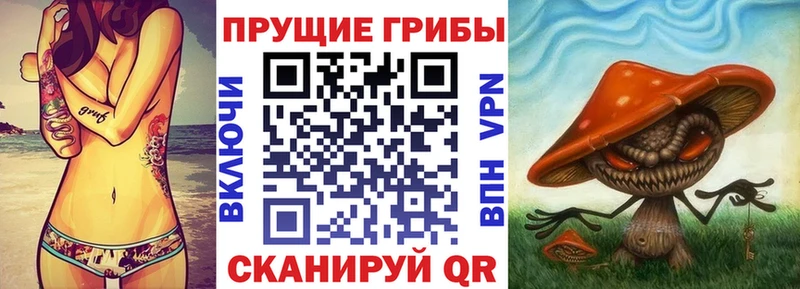 Галлюциногенные грибы MAGIC MUSHROOMS  Кувшиново 